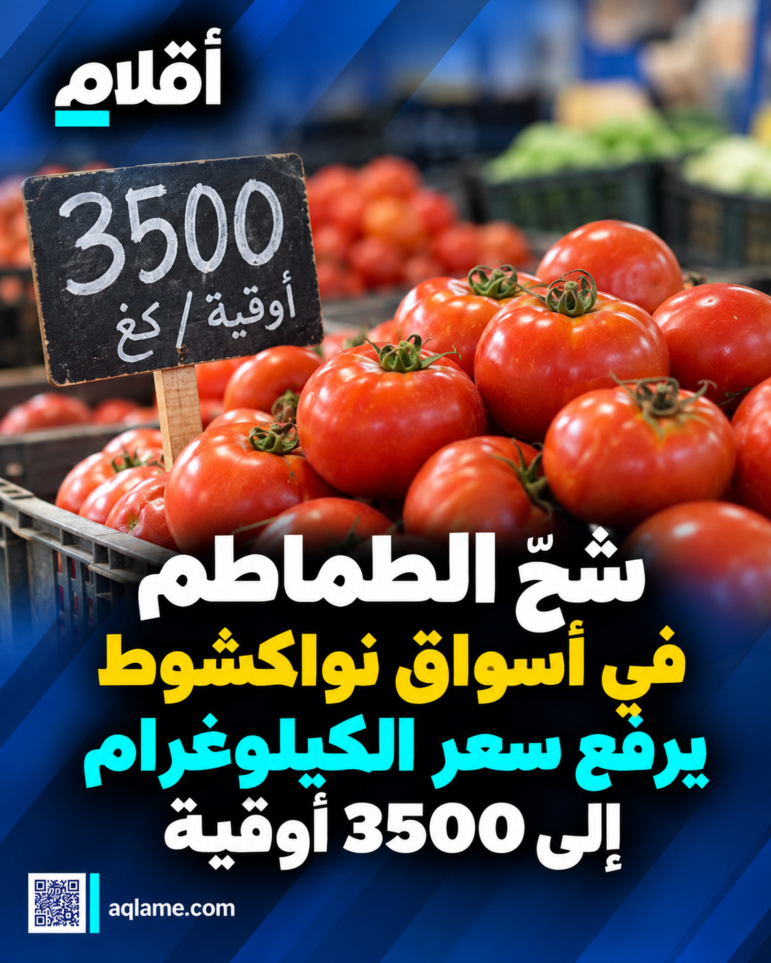 شحّ الطماطم في أسواق نواكشوط يرفع سعر الكيلوغرام إلى 3500 أوقية